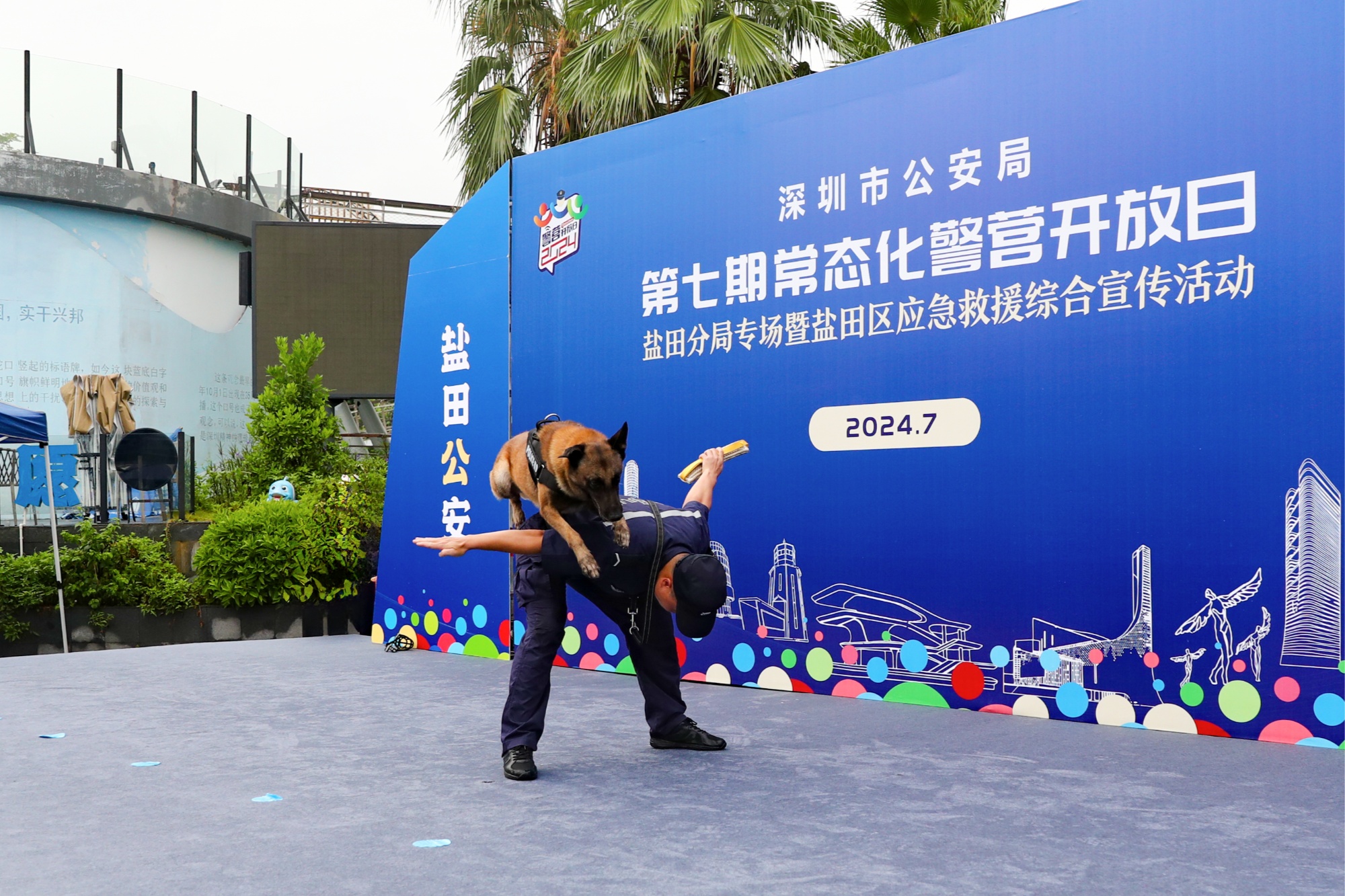 多伦多猛龙训练开放日；赛前强势反弹引欢呼；意大利杯在即；团队化学反应显著的简单介绍-开云体育网址